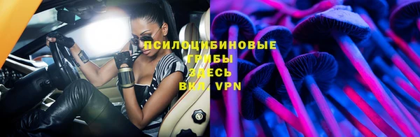 PSILOCYBIN Липки