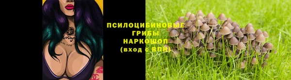 PSILOCYBIN Липки