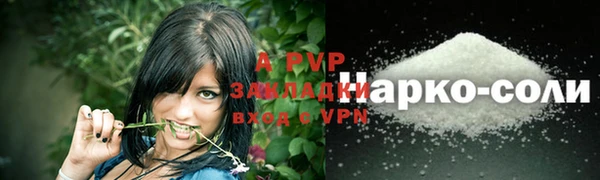 PSILOCYBIN Липки