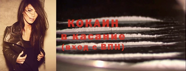 PSILOCYBIN Липки