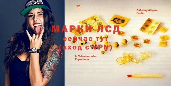 PSILOCYBIN Липки