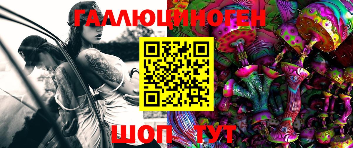 Галлюциногенные грибы прущие грибы Нарьян-Мар